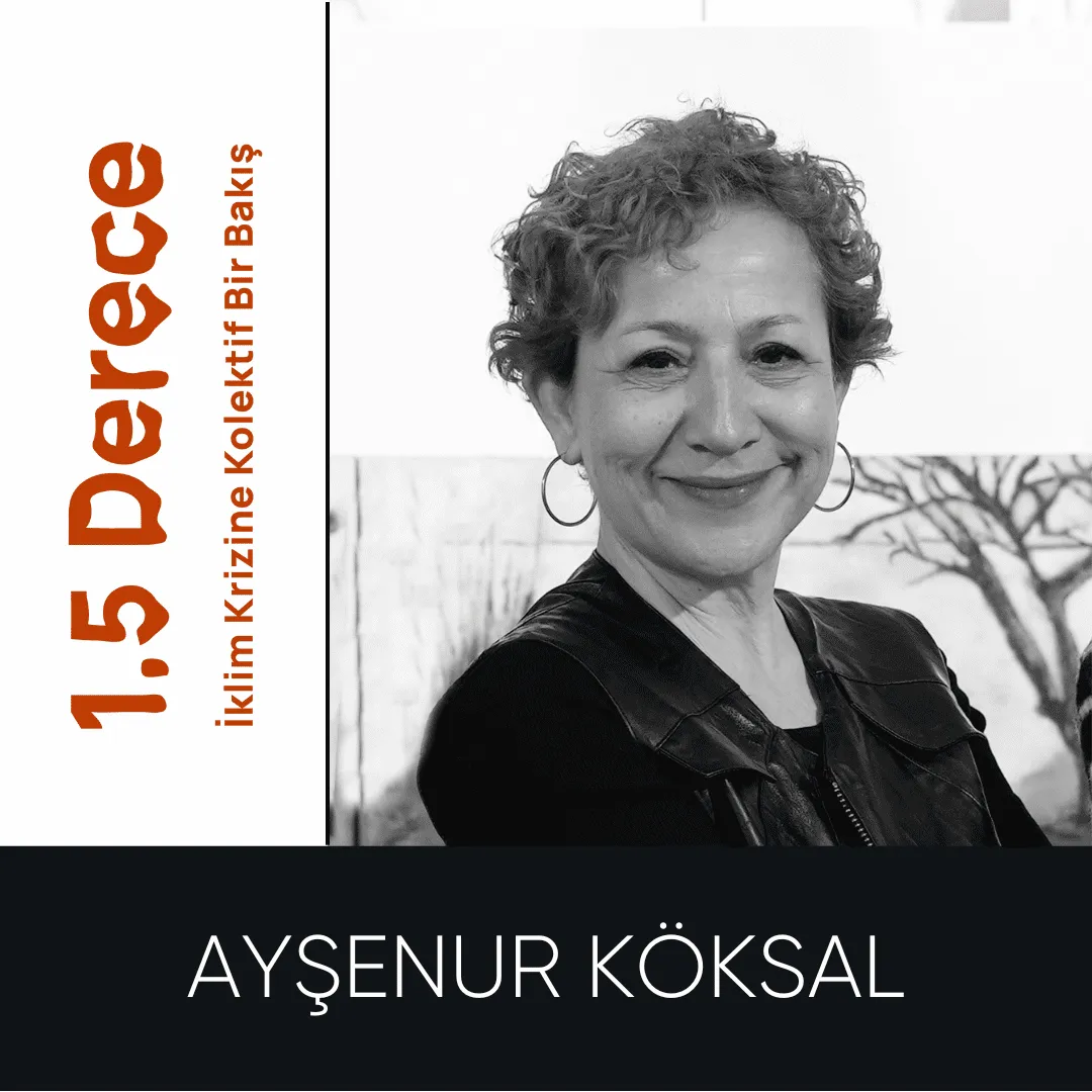 Ayşenur Köksal
