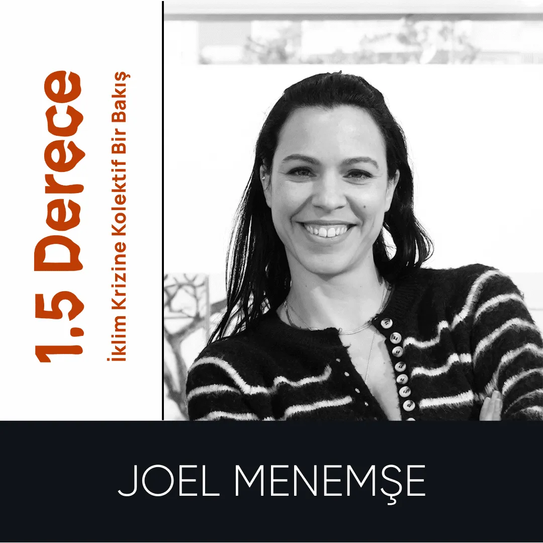 Joel Menemşe