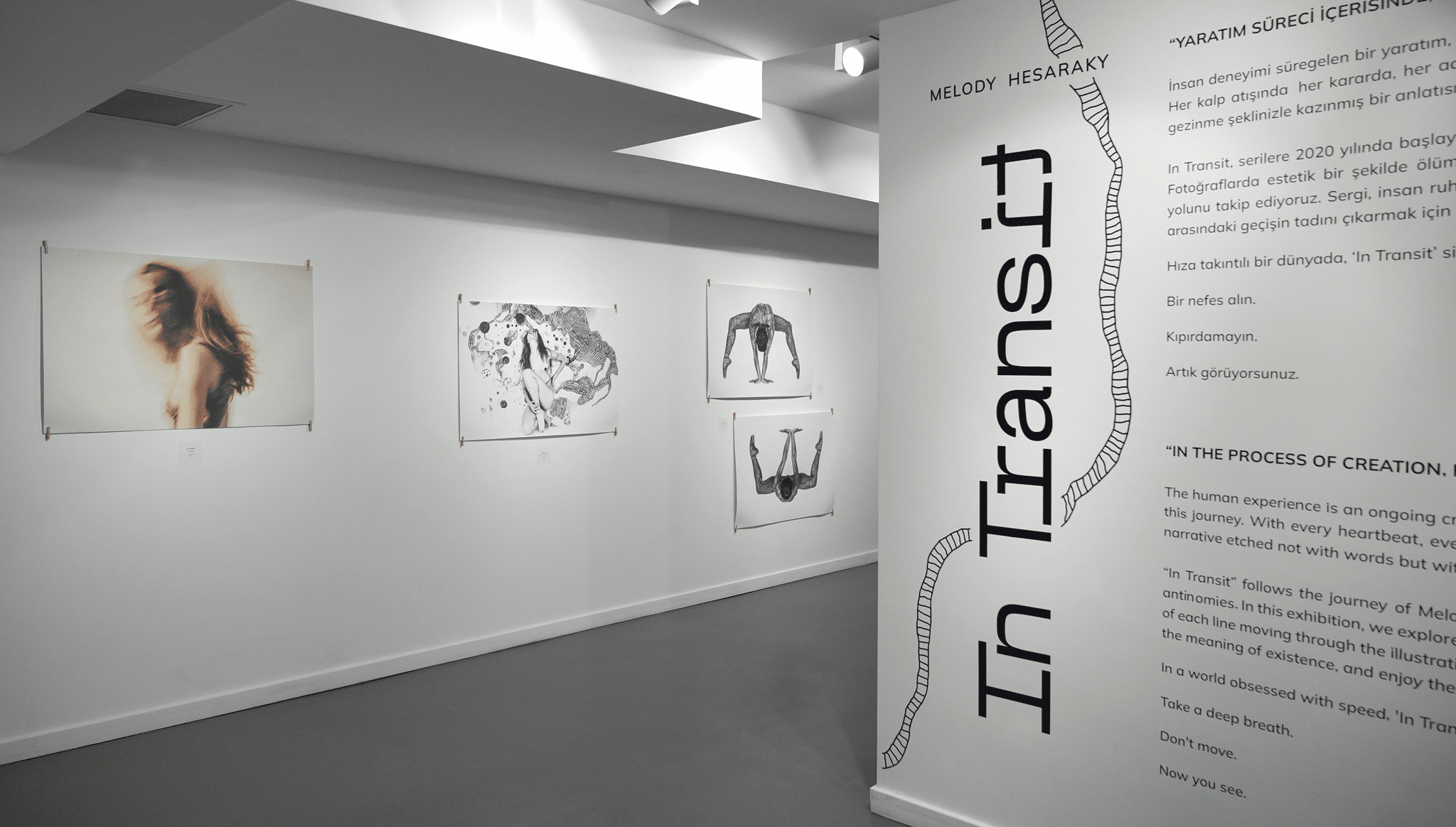 Galeri 2