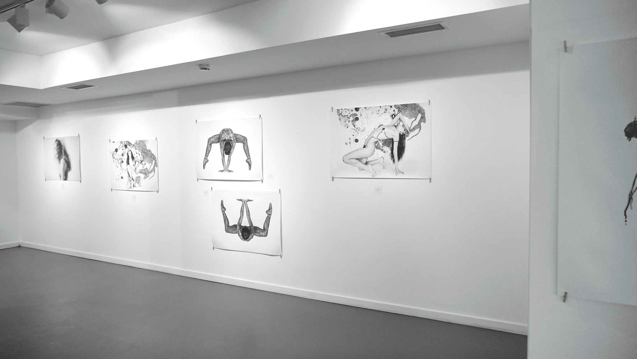 Galeri 4