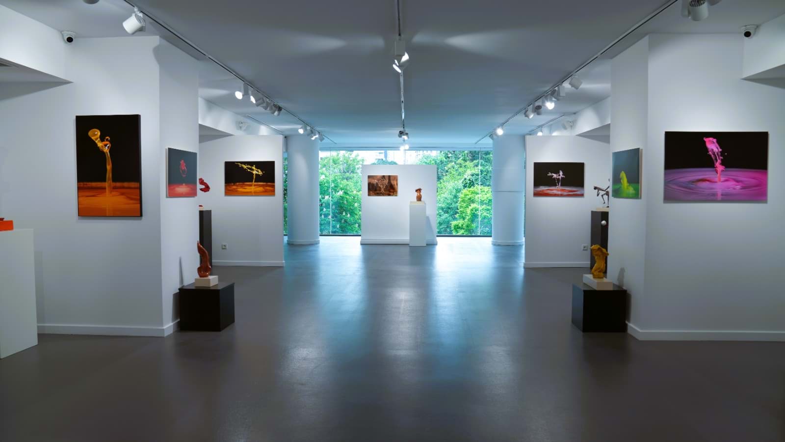 Galeri 6
