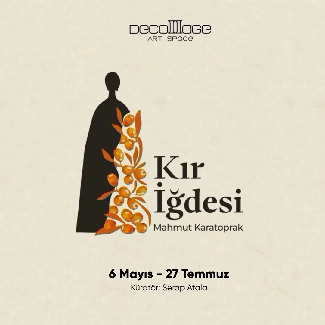 Kır İğdesi
